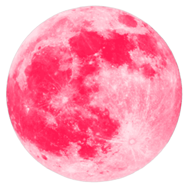 Spongebob and Regen magic word